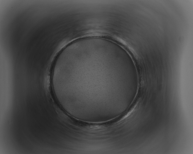 X0000100951459200807151326