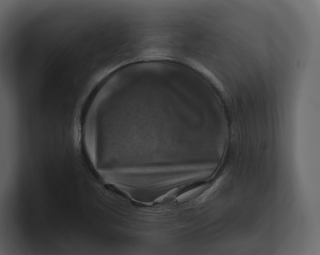 X0000100951461200807151326