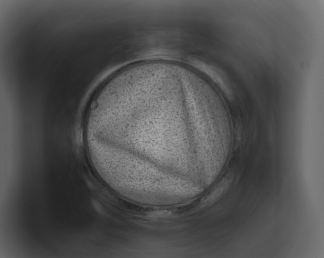 X0000100951462200807151326