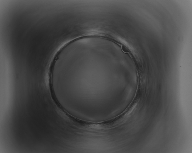 X0000100951463200807151326