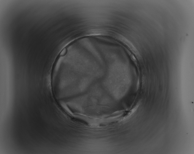 X0000100951465200807151326