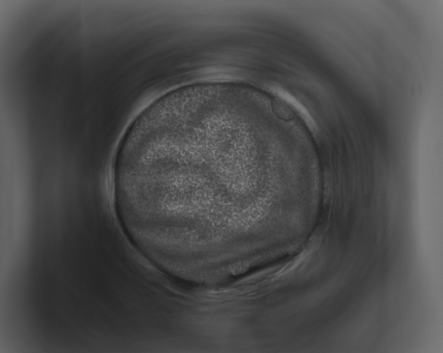 X0000100951467200807151326