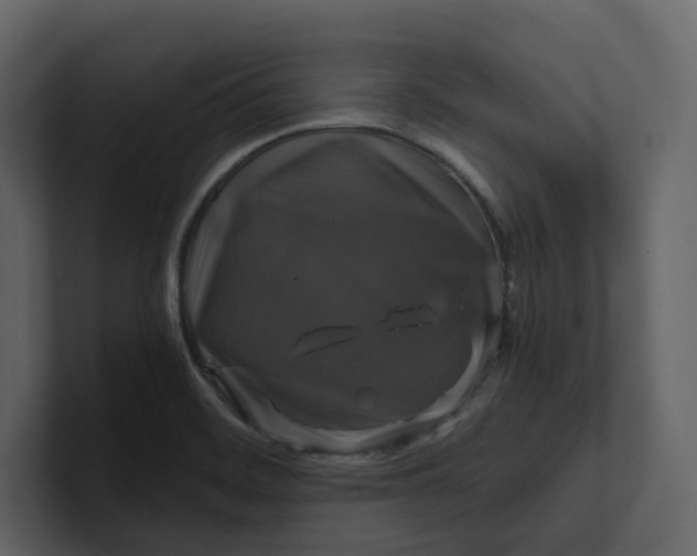 X0000100951468200807151326