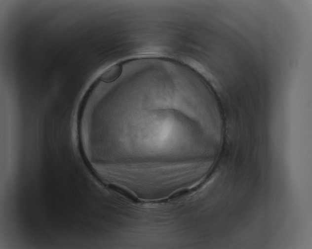 X0000100951469200807151326