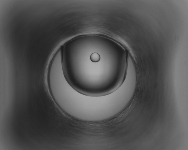 X0000100951472200807151326