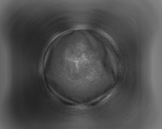 X0000100951473200807151326