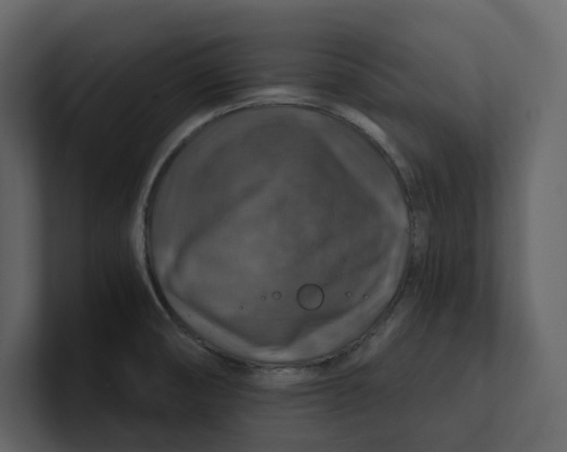 X0000100951474200807151326