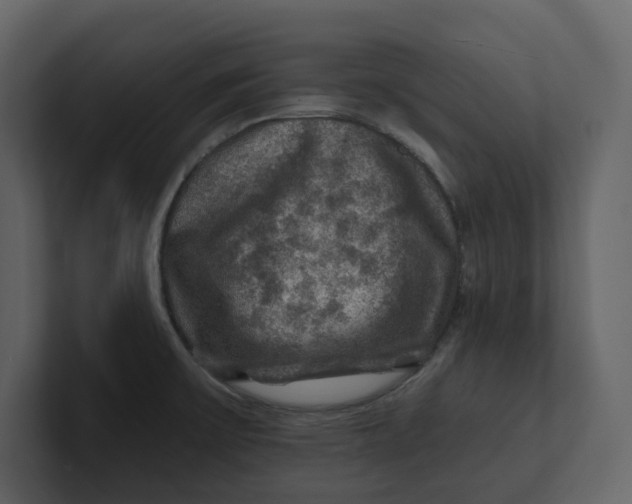 X0000100951475200807151326