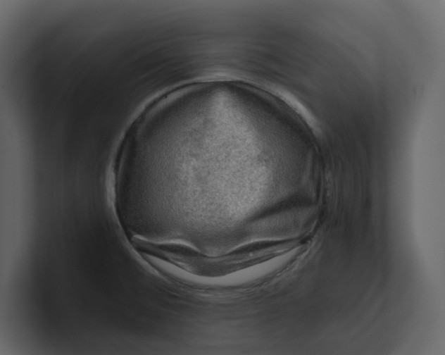 X0000100951476200807151326