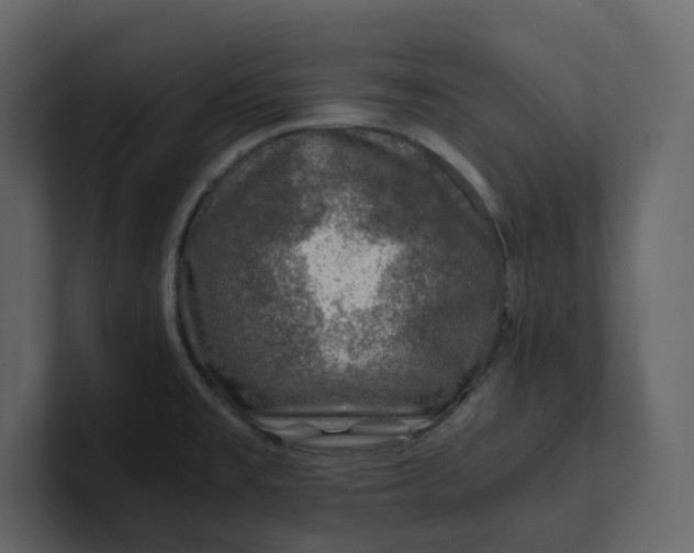 X0000100951477200807151326