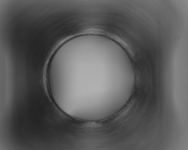 X0000100951478200807151326