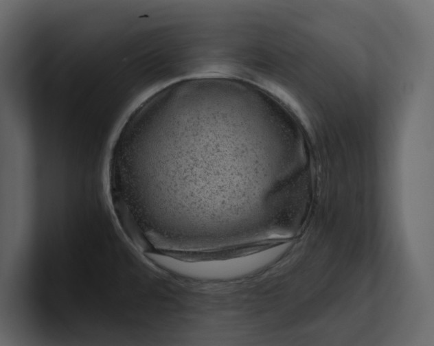 X0000100951480200807151326