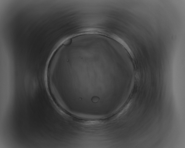 X0000100951482200807151326