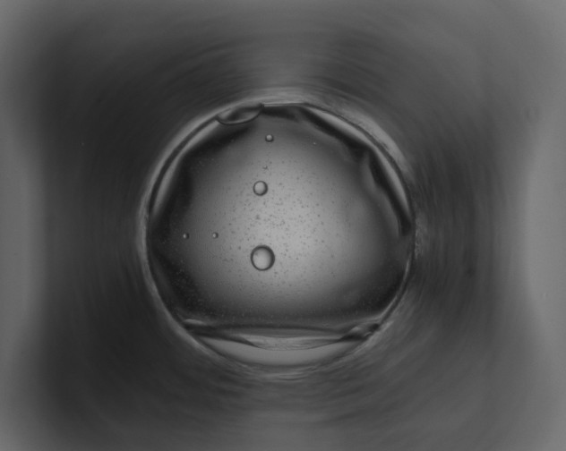 X0000100951484200807151326