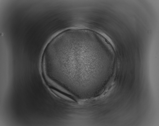 X0000100951485200807151326