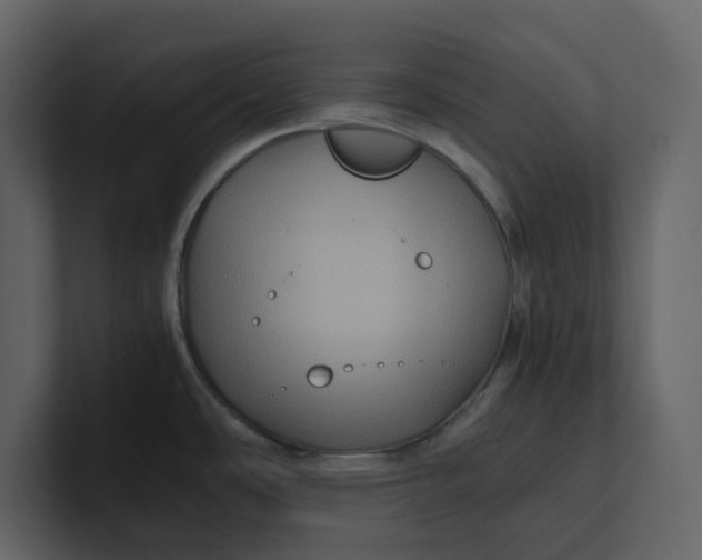 X0000100951486200807151326