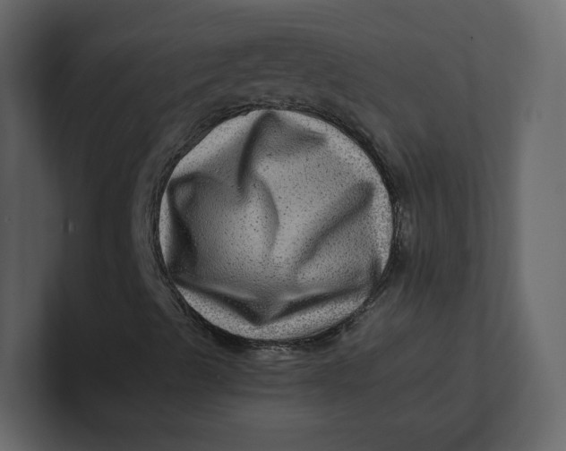 X0000100951489200807151325