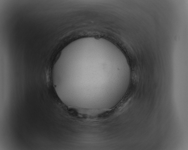 X0000100951490200807151325