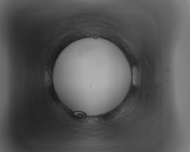 X0000100951491200807151325