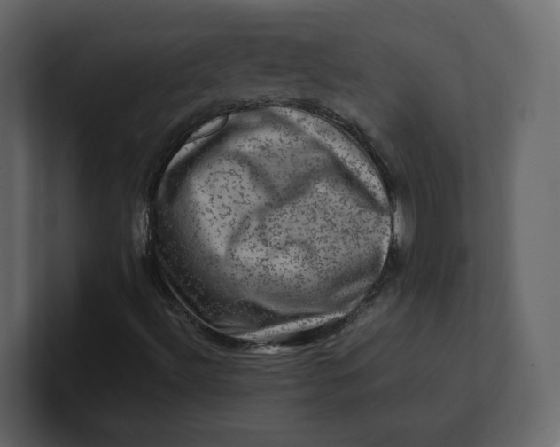 X0000100951492200807151325