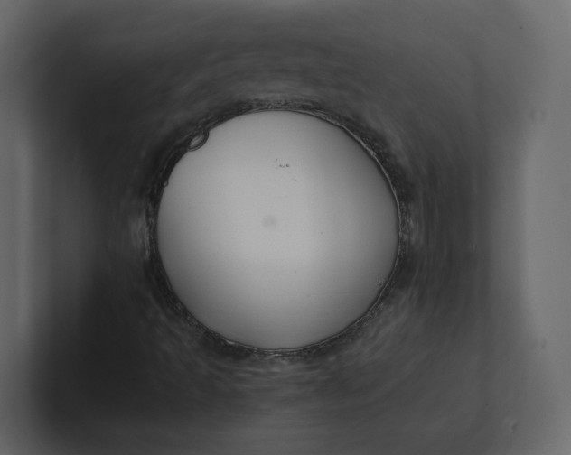 X0000100951493200807151325