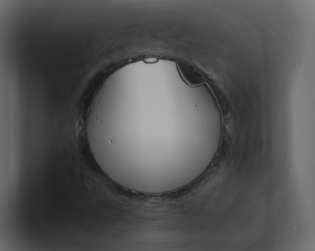 X0000100951495200807151325