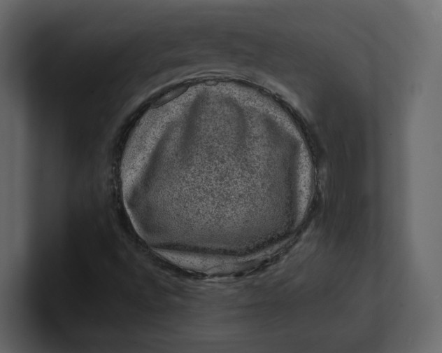 X0000100951496200807151325