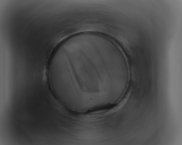 X0000100951497200807151325