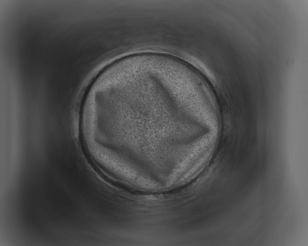 X0000100951504200807151325