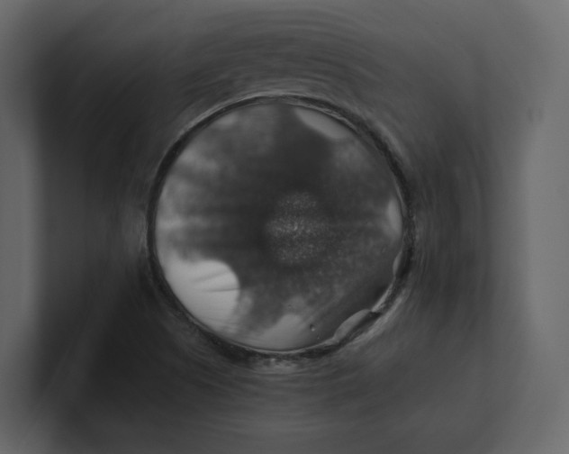 X0000100951505200807151325