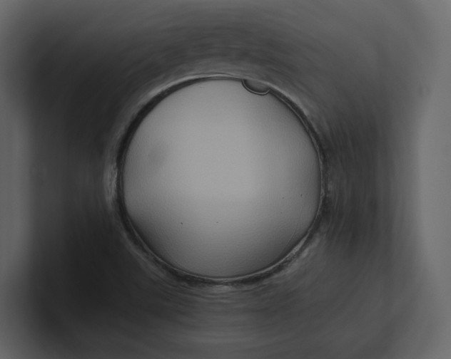 X0000100951507200807151326