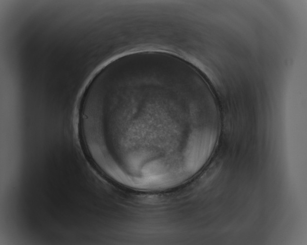 X0000100951508200807151326