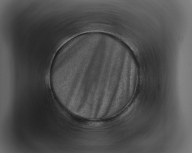 X0000100951513200807151326