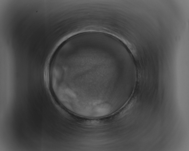 X0000100951515200807151326