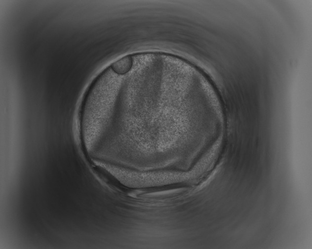 X0000100951517200807151326