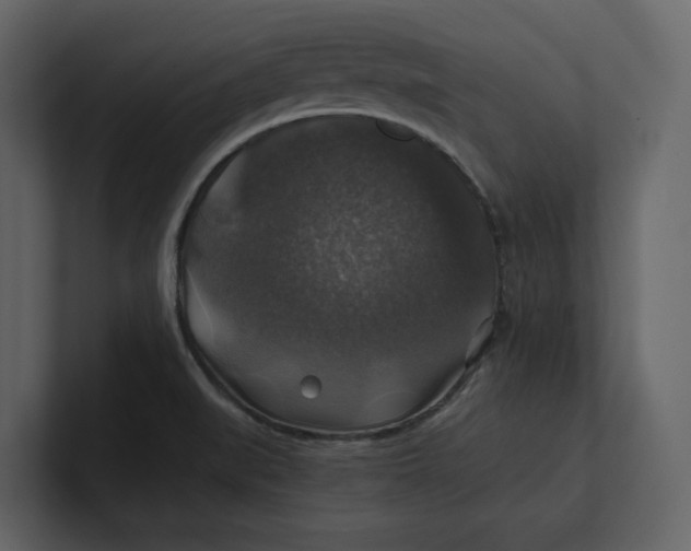 X0000100951519200807151326