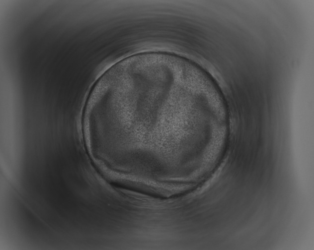 X0000100951521200807151326