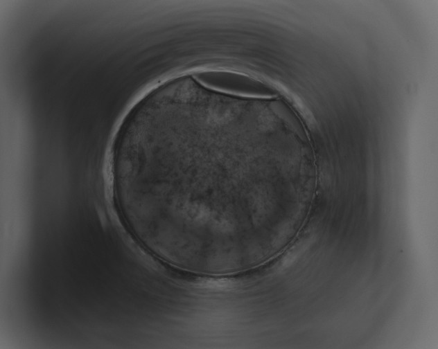 X0000100951522200807151326