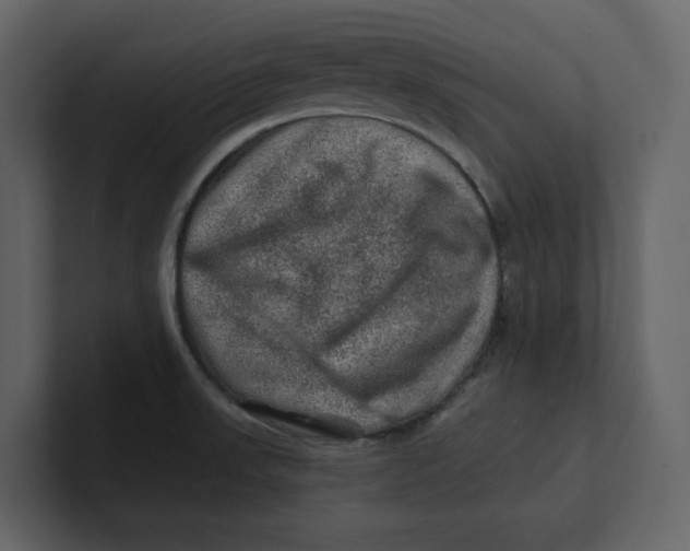 X0000100951523200807151326