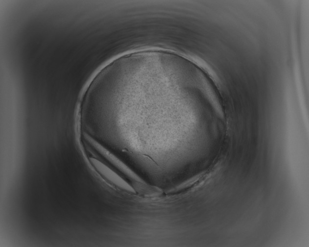 X0000100951524200807151326