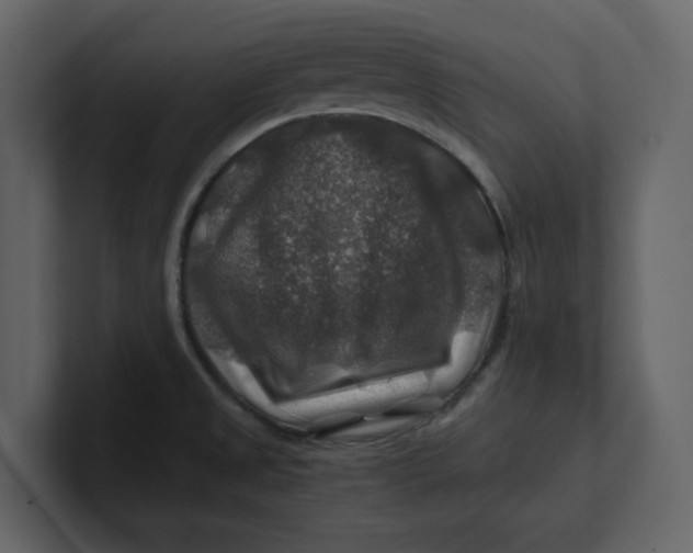 X0000100951525200807151326