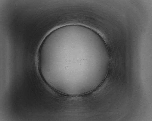 X0000100951526200807151326