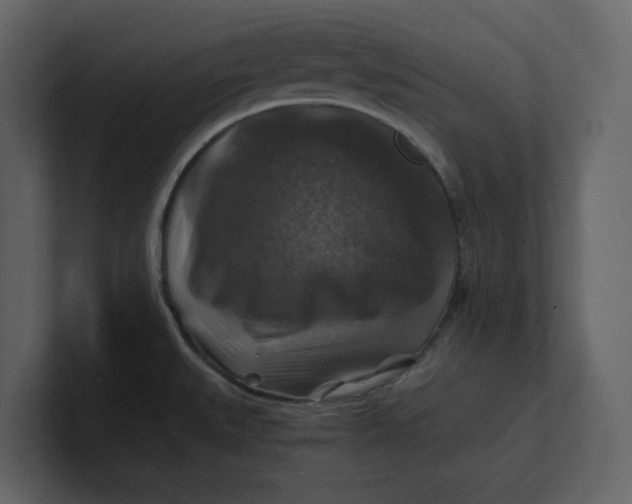 X0000100951527200807151326