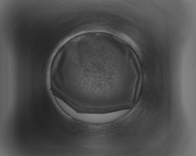 X0000100951528200807151326