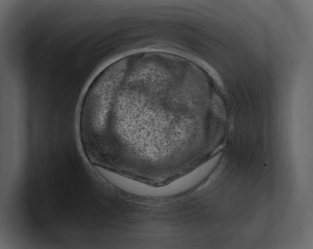 X0000100951530200807151326