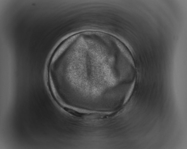 X0000100951531200807151326