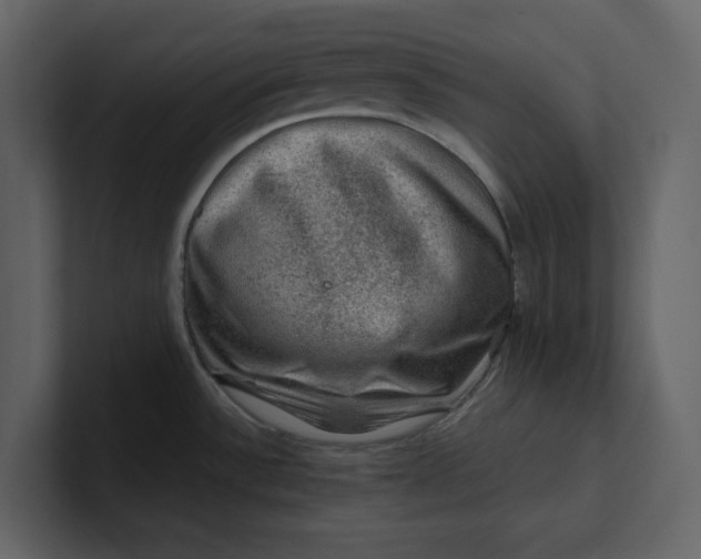 X0000100951532200807151326