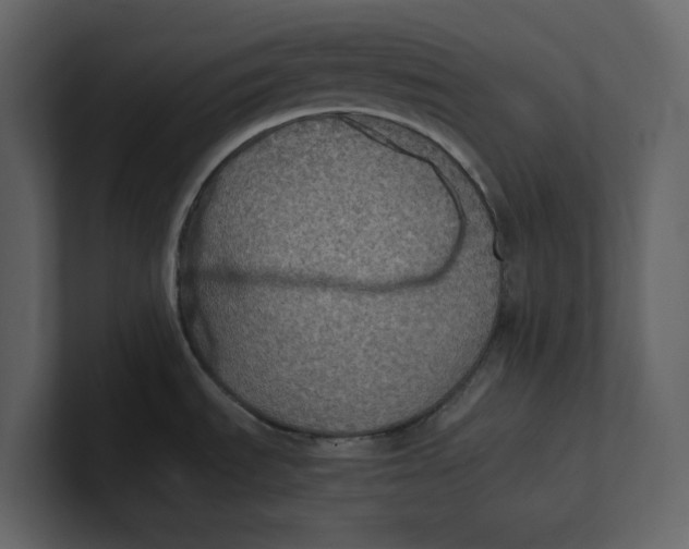 X0000100951535200807151326