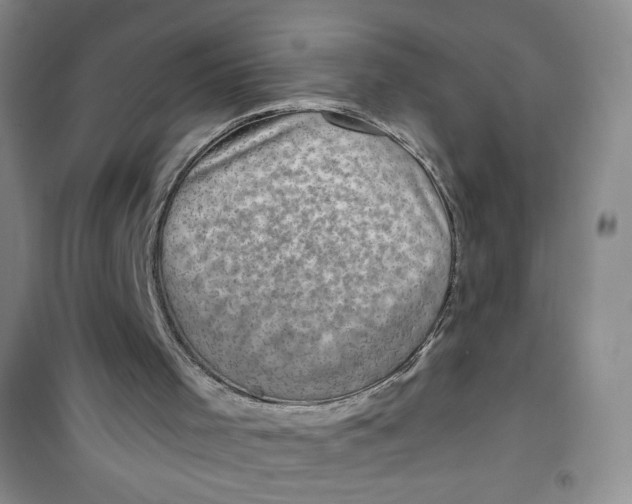 X0000100950001200807221132