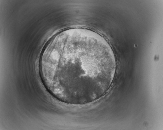 X0000100950002200807221132